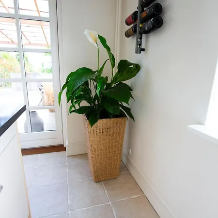 Luxurious, Spacious - Nordic Style